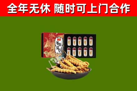 宿城区回收冬虫夏草价格