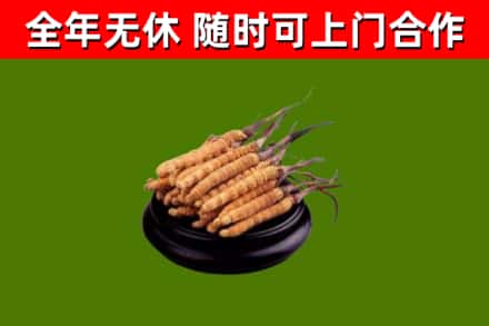 宿城区烟酒回收冬虫夏草.jpg